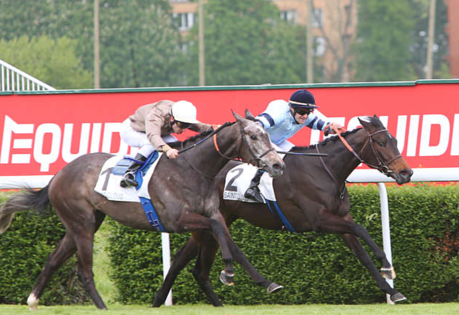 Pronostic gratuit turf || pronosticgratuitturf